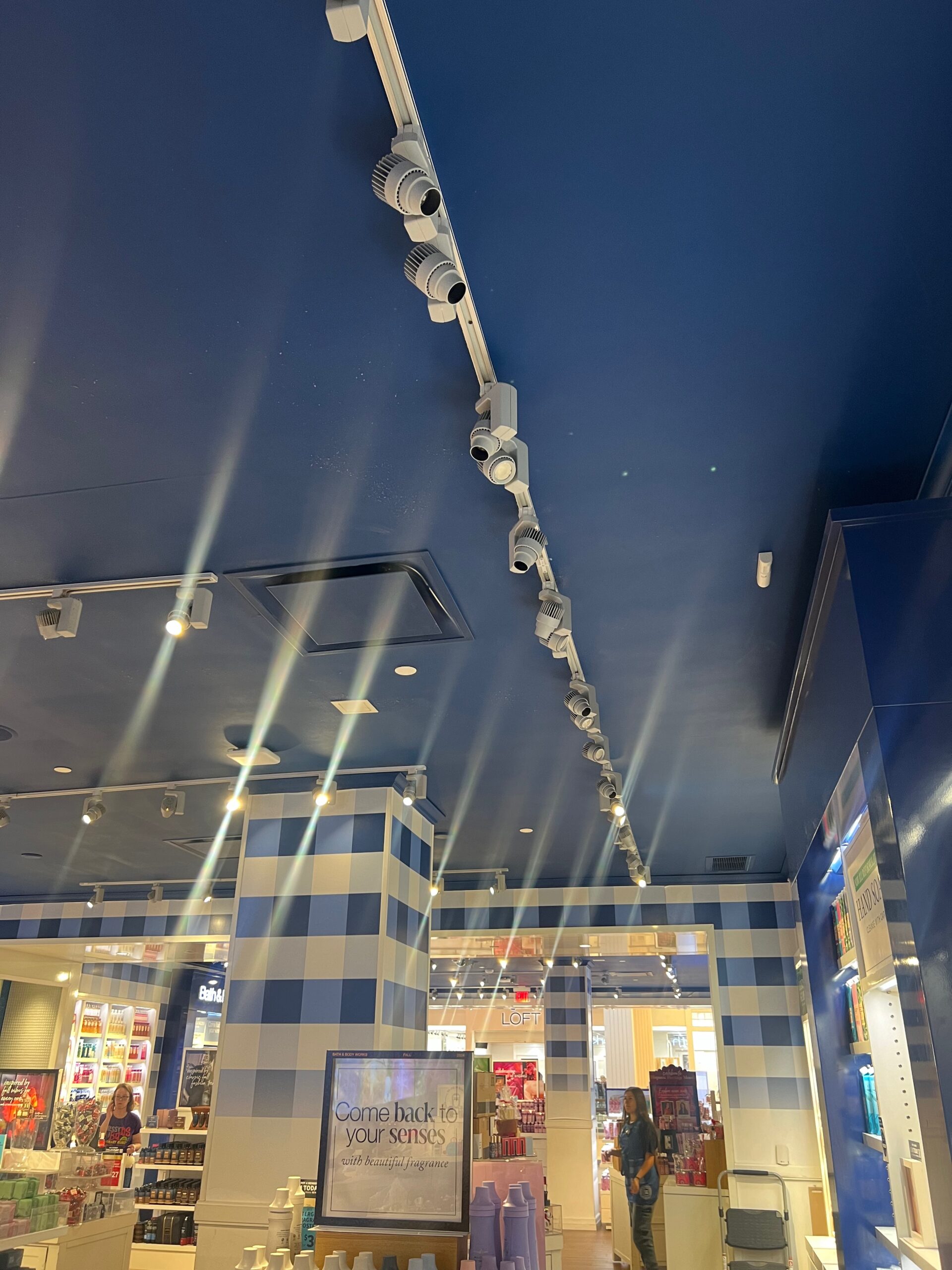 Ceiling security cameras in retail store – Happy Electric